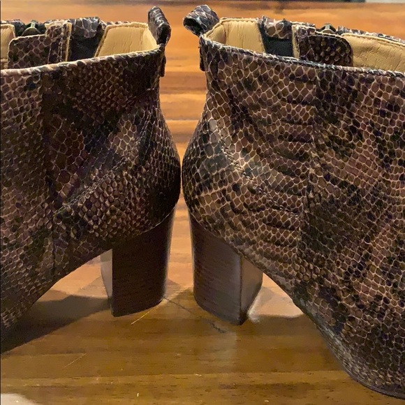 Snakeskin Lucca Lane Avra Booties 🐍 - Picture 5 of 8